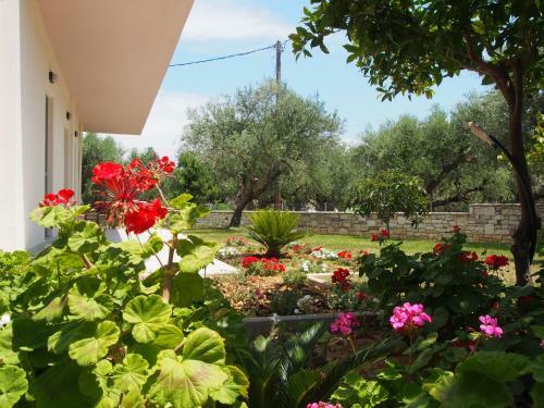 Apartamento Lena Mare