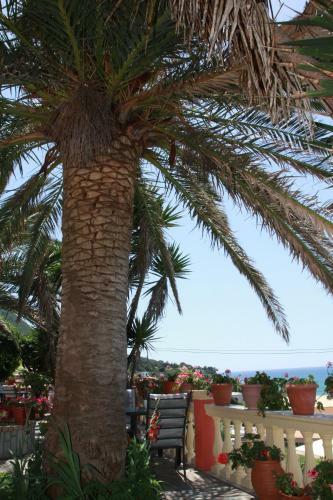 Apartamentos Aristotelis-nikos Paramonas Studios