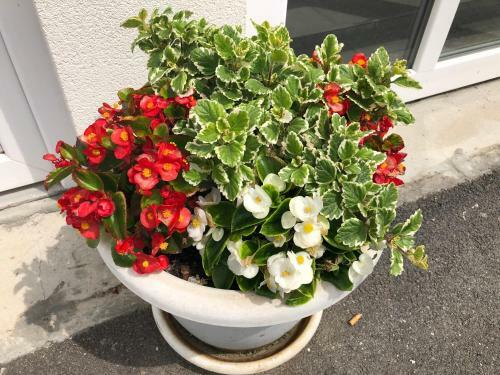 Bed & Breakfast Sobe Glava?