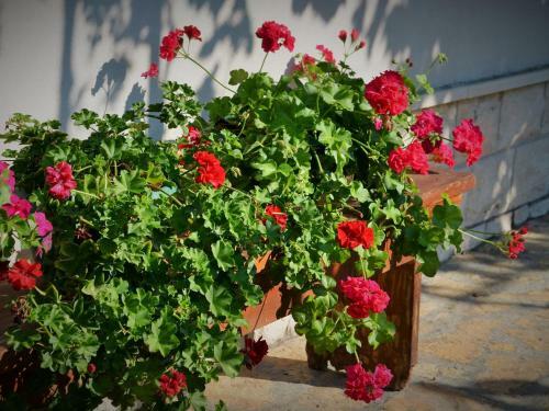 Quaint Apartment In Gata With Lovely Garden