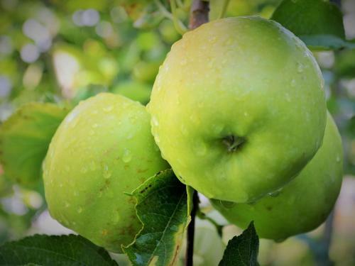 Quaint Apartment In Gata With Lovely Garden