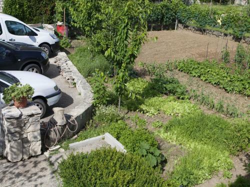 Quaint Apartment In Gata With Lovely Garden