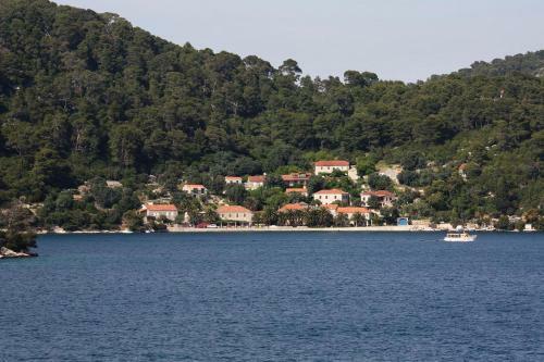 Apartments By The Sea Babine Kuce, Mljet - 611