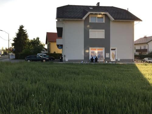 Hostal Guest House ?eperi?