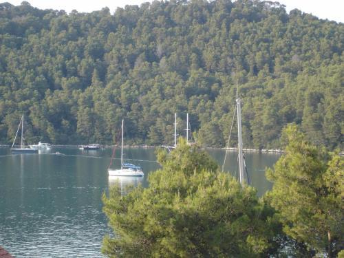 Apartments By The Sea Polace, Mljet - 16296