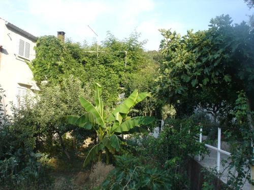 Apartments By The Sea Polace, Mljet - 16296