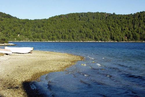 Apartments By The Sea Polace, Mljet - 16296