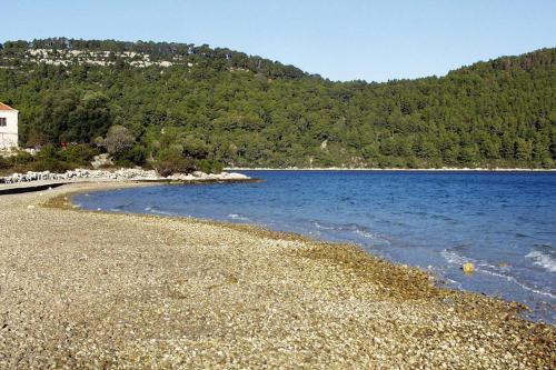 Apartments By The Sea Polace, Mljet - 16296