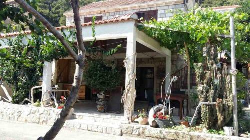Hostal Guest House Pikala