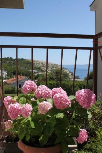 Apartments With A Parking Space Krvavica, Makarska - 6749