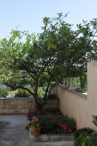Apartments With A Parking Space Krvavica, Makarska - 6749