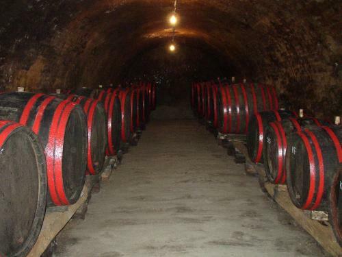 Agroturismo Kolar Wine Cellars