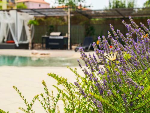 Holiday Home Villa Franka