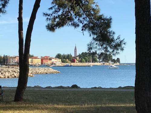 Villa Holiday Home Novigrad