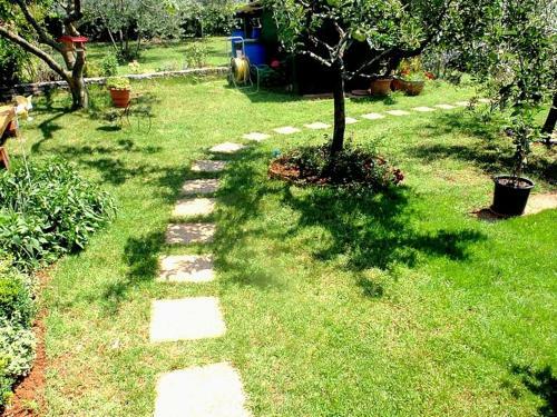 Apartments Novigrad (906)