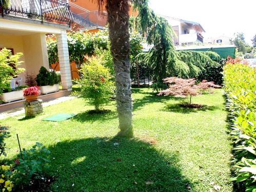 Apartments Novigrad (906)