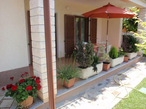 Apartments Novigrad (906)