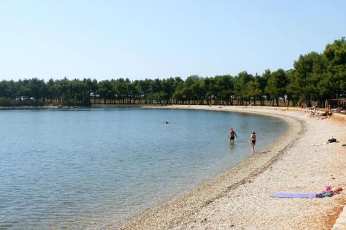 Apartments With A Swimming Pool Novigrad - 7078