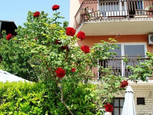 Studio Apartment In Novigrad With Terrace, Air Condition, Wifi (4648-1)