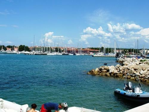 Studio Apartment In Novigrad With Terrace, Air Condition, Wifi (4648-1)