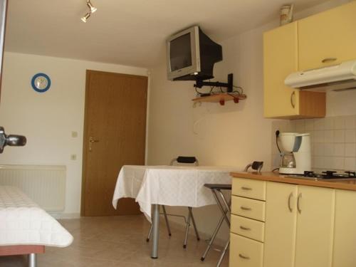 Studio Apartment In Novigrad With Terrace, Air Condition, Wifi (4648-1)