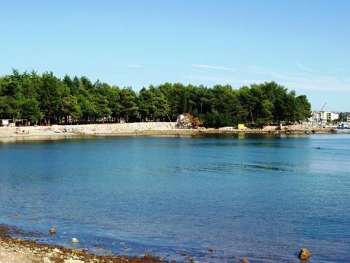 Studio Apartment In Novigrad With Terrace, Air Condition, Wifi (4648-1)