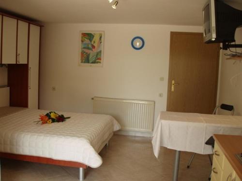 Studio Apartment In Novigrad With Terrace, Air Condition, Wifi (4648-1)