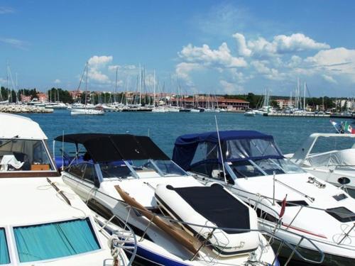 Studio Apartment In Novigrad With Terrace, Air Condition, Wifi (4648-1)