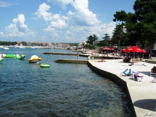 Studio Apartment In Novigrad With Terrace, Air Condition, Wifi (4648-1)