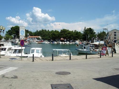 Studio Apartment In Novigrad With Terrace, Air Condition, Wifi (4648-1)