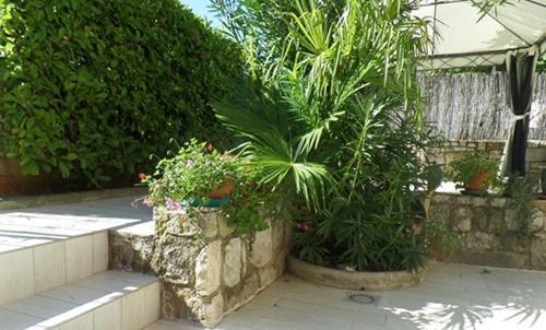 Studio Apartment In Novigrad With Terrace, Air Condition, Wifi (4648-1)