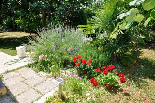 Hostal Oriella Aparmtents