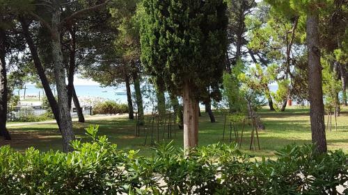 Hostal Oriella Aparmtents