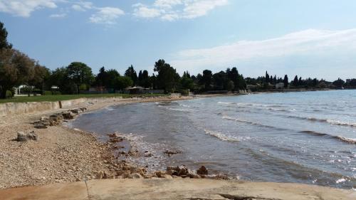 Apartments By The Sea Dajla, Novigrad - 13481