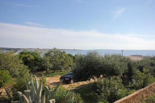 Apartamentos Studio Novalja 9326b