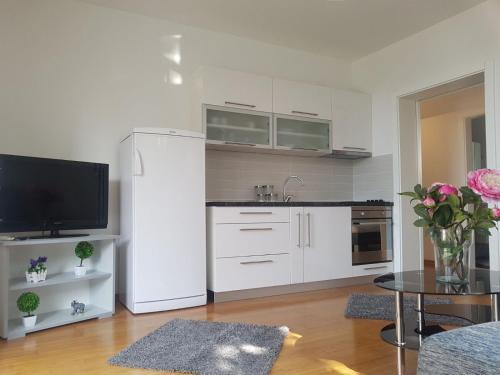 Apartman Vila Lucia 2