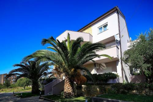Apartments Lola