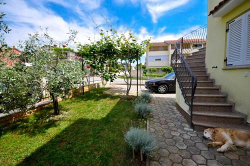 Ana M Apartments