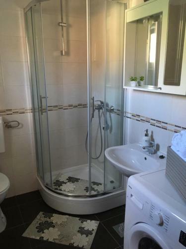 Apartment Sucic