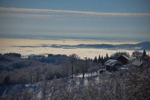 Hostal Guest House Lagotto's Peak