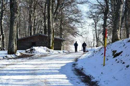 Hostal Guest House Lagotto's Peak
