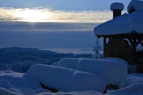 Hostal Guest House Lagotto's Peak