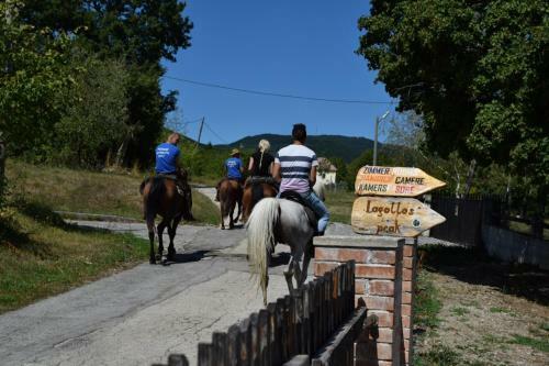 Hostal Guest House Lagotto's Peak