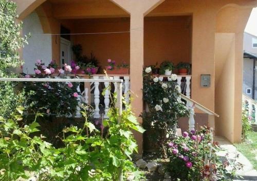 Studio Apartment In Nin With Balcony, Air Conditioning, Wi-fi (3718-2)