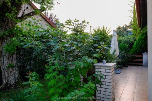 Apartamento Ciprus Porta Kondor