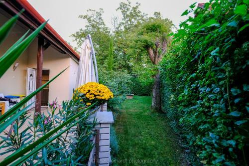 Apartamento Ciprus Porta Kondor
