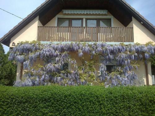 Apartment Balatonszentgyorgy 1