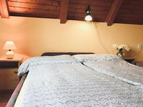 Hostal Kerti Vend�gh�z