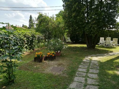 Apartamento Tam�s B�tya Kunyh�ja