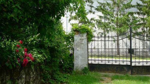 K?pajta Vend�gh�z